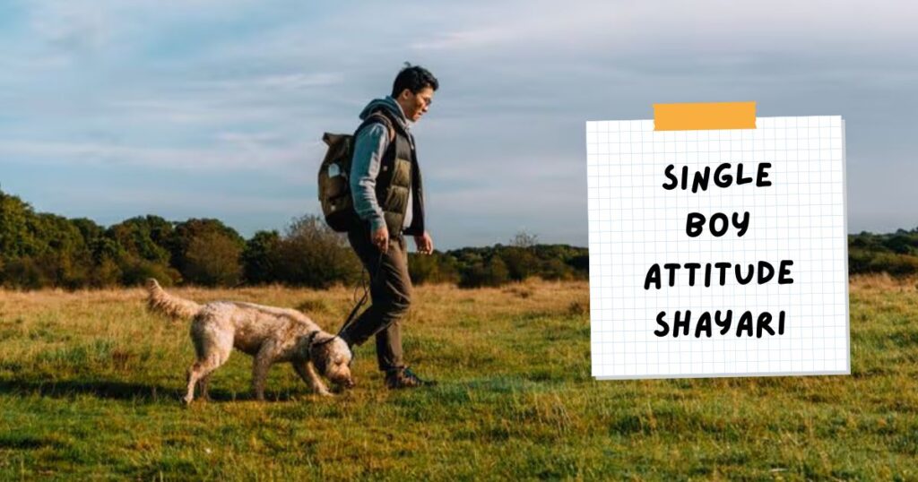 Single Boy Attitude Shayari in hindi 