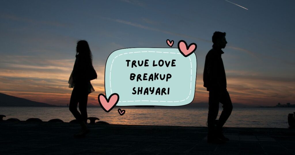 Sad Breakup Shayari Hindi