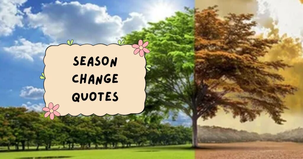 Cute Fall Quotes