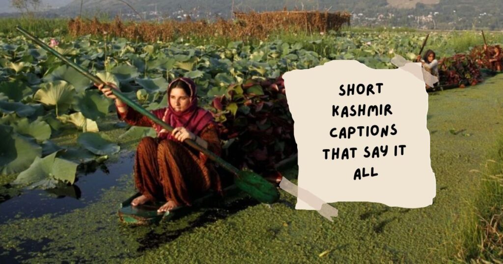 Kashmir Quotes for Instagram