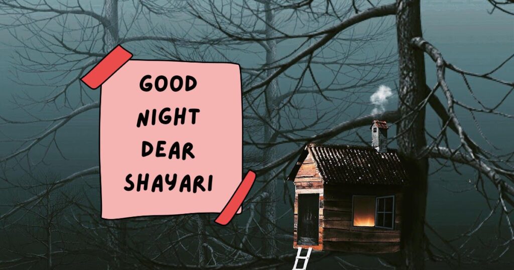 Good Night Shayari in Hindi