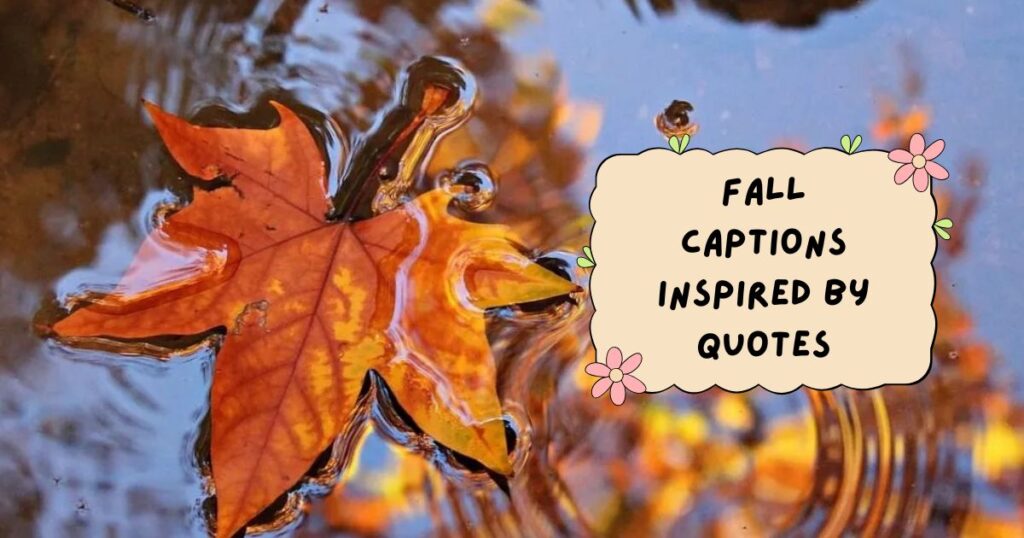 Cute Fall Quotes