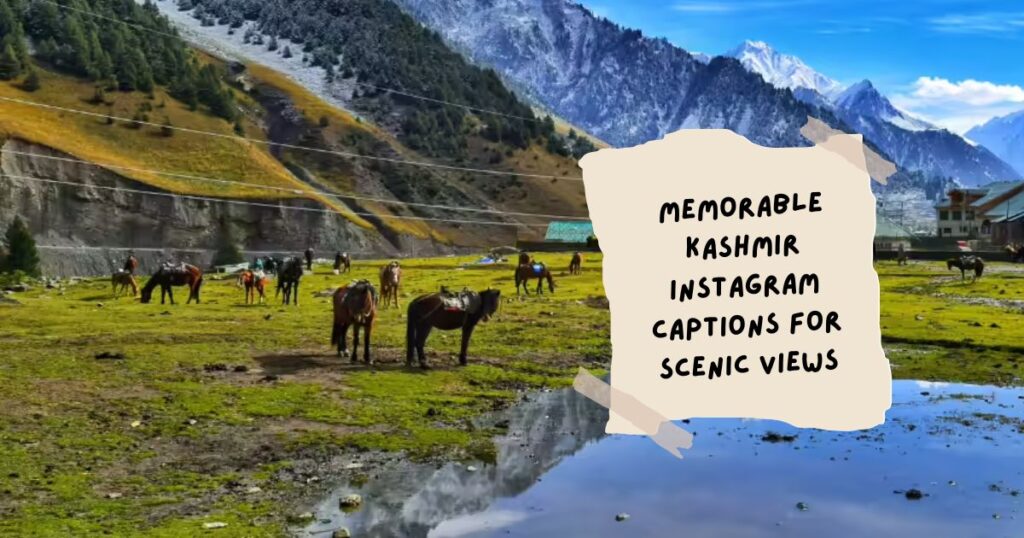 Kashmir Quotes for Instagram