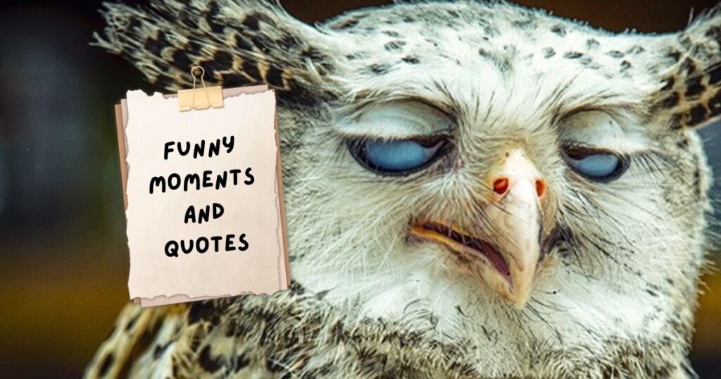Practical Magic Quotes