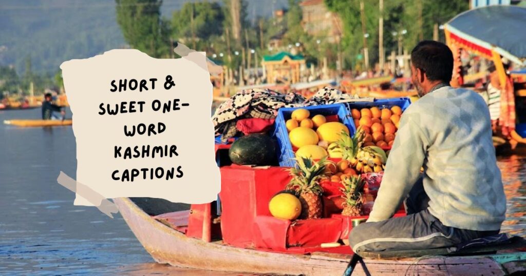 Kashmir Quotes for Instagram