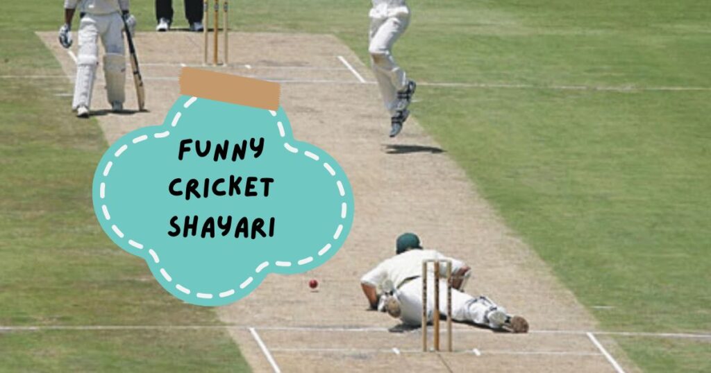 Cricket Shayari in Hindi 