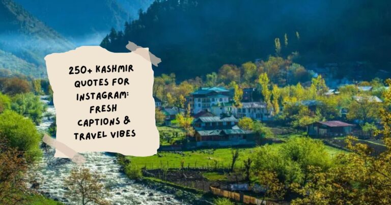Kashmir Quotes for Instagram