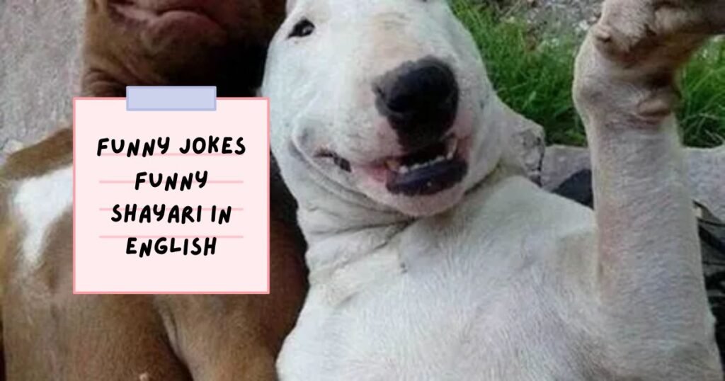 Funny Shayari in English