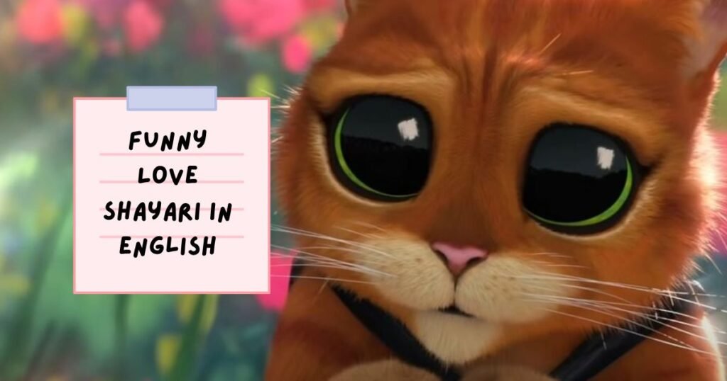Funny Shayari in English