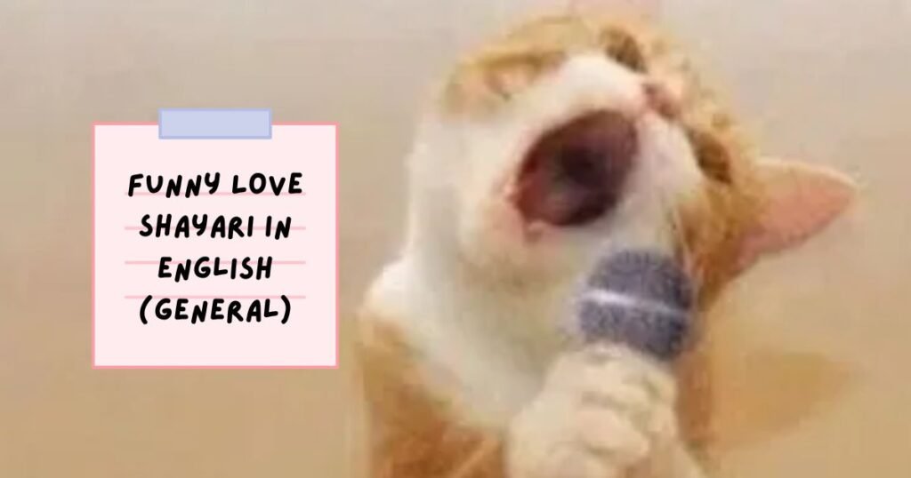 Funny Shayari in English